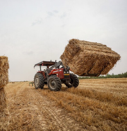 خرید بیش از یک میلیون تن گندم در خوزستان/ پرداخت ۵۰ درصد مطالبات کشاورزان