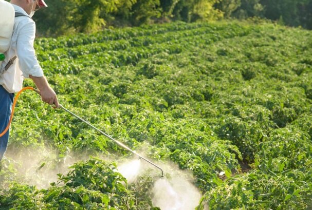 کشاورزان از تهیه خودسرانه سموم کشاورزی خودداری کنند