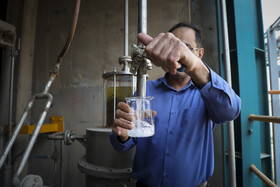 برداشت سبز نیشکر در خوزستان 28 62792828