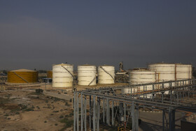 برداشت سبز نیشکر در خوزستان 29 62792857