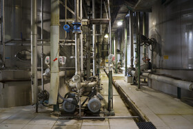 برداشت سبز نیشکر در خوزستان 30 62792864