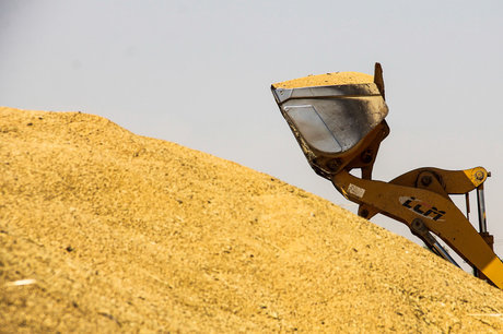 میزان کشت قراردادی در تعاون روستایی به بیش از ۲۶ هزار هکتار رسید