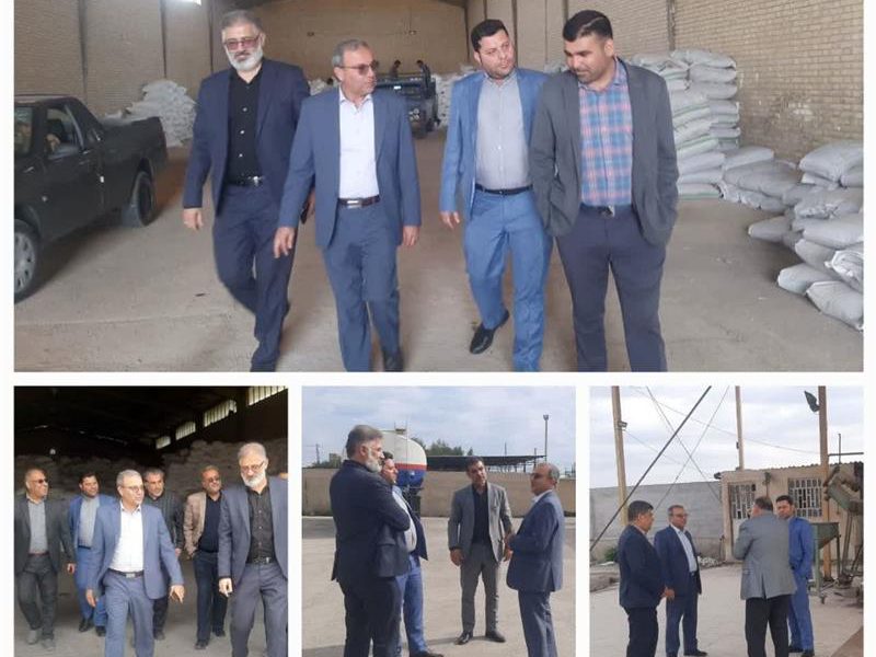 بازدید مدیر تعاون روستایی و مدیرعامل اتحادیه تعاون روستایی خوزستان از شهرستانهای ماهشهر و هندیجان