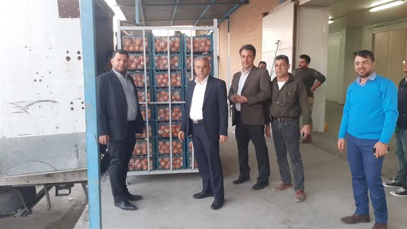 آغاز ذخیره سازی پرتقال نوروز ۱۴۰۳ در سردخانه برنجکوبی اهواز
