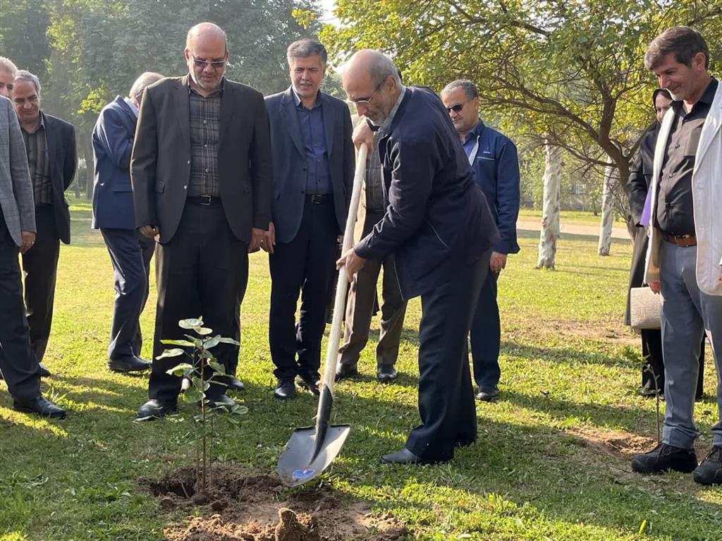 غرس نهال در بوستان بیمارستان نفت اهواز صورت گرفت