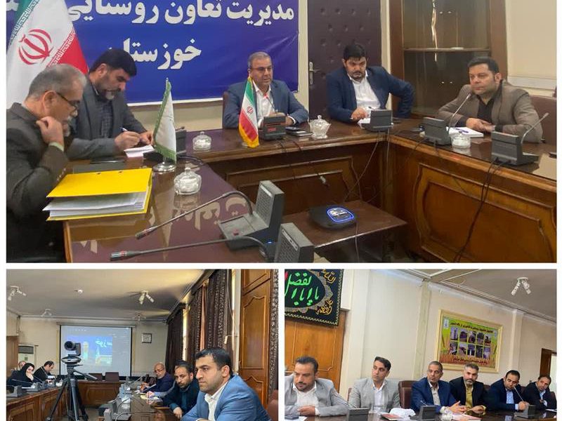 توزیع میوه شب عید با نگاه فعالیت های اجتماعی انجام می گیرد/ تعاون روستایی سابقه درخشانی در تنظیم بازار میوه شب عید دارد