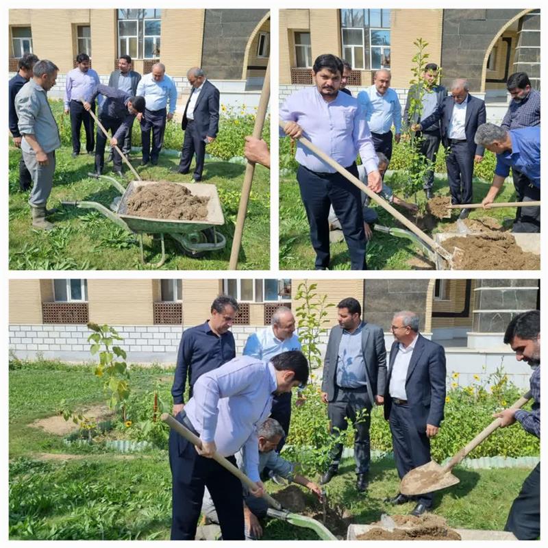 کاشت نهال مثمر توسط مدیر تعاون روستایی خوزستان در این مدیریت