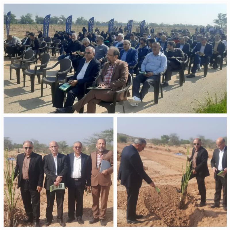 حضور مسئولین تعاون روستایی خوزستان در مراسم درختکاری