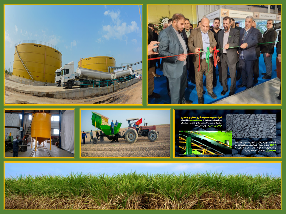 ۳۵ سال تلاش نـیشکریها به ثمر نشست