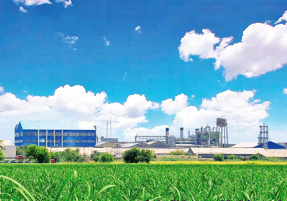 هفتتپه در آستانه انتقال مالکیت کامل به توسعه نیشکر