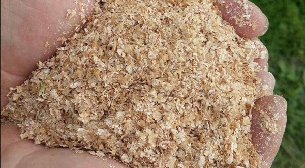 تامین و توزیع ۴۵ تن خوراک دام در تیرماه