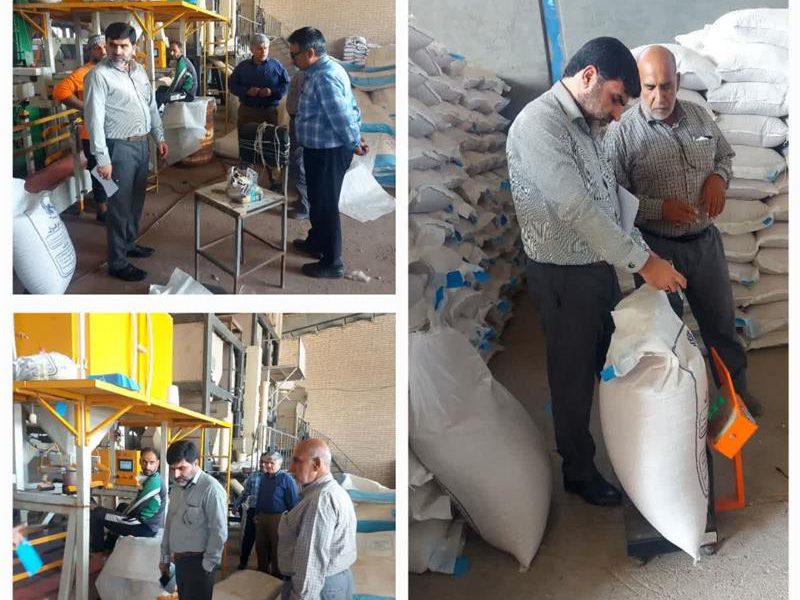 بازدید ریاست اداره حراست سازمان تعاون روستایی خوزستان از روند بوجاری بذر گندم در شهرستان دزفول