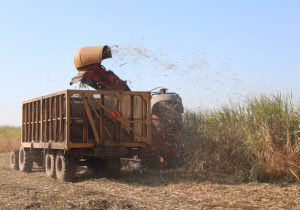 نیشکر در زمینه برداشت سبز گام برداشته است / پیگیر روند اجرای برنامه‌های این مجموعه صنعتی هستم