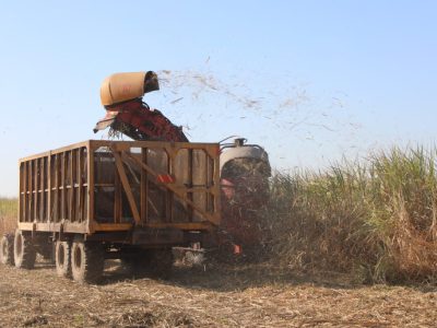 نیشکر در زمینه برداشت سبز گام برداشته است / پیگیر روند اجرای برنامه‌های این مجموعه صنعتی هستم
