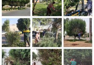 عملیات گسترده سازمان فضای سبز شهرداری خرمشهر با هرس و فرم دهی درختان