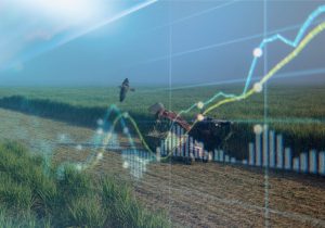 پیش‌بینی سود ۱۰ هزار میلیاردتومانی نیشکر در سال آینده