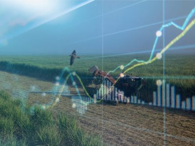 پیش‌بینی سود ۱۰ هزار میلیاردتومانی نیشکر در سال آینده