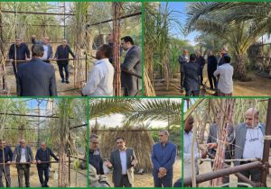 بازدید هیئت مدیره شرکت توسعه نیشکر از ایستگاه تحقیقاتی چابهار / دکترعین افشار: افزایش بهرهوری نیشکر هدف اصلی این مرکز است