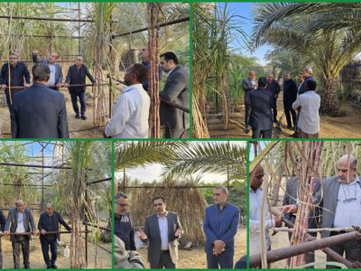 بازدید هیئت مدیره شرکت توسعه نیشکر از ایستگاه تحقیقاتی چابهار / دکترعین افشار: افزایش بهرهوری نیشکر هدف اصلی این مرکز است