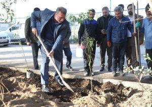 کاشت یکصد اصله نهال به یاد شهدای شرکت آبفا اهواز