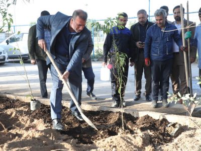 کاشت یکصد اصله نهال به یاد شهدای شرکت آبفا اهواز