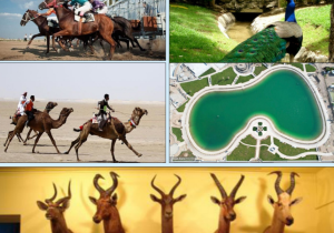 جاذبه های تفریحی و گردشگری شهر جدید شیرین شهر