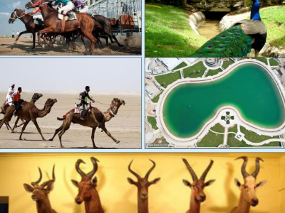 جاذبه های تفریحی و گردشگری شهر جدید شیرین شهر