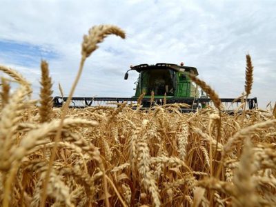 ۶ مرکز تعاون روستایی در دزفول گندم کشاورزان را خریداری میکند