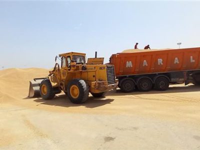 خرید بیش از ۵۵ هزار تن گندم از گندمکاران شهرستان اهواز