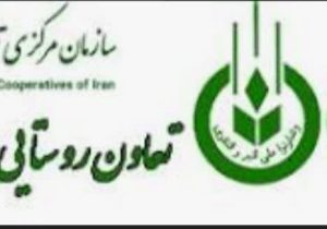 صیانت از بیت المال اولویت تعاون روستایی خوزستان است