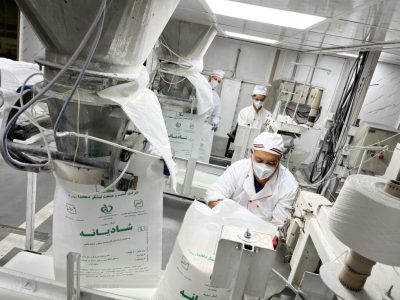 تولید بیش از ۷۲۱ هزار تن شکر سفید در توسعه نیشکر