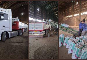 نخستین محموله خوراک دام نیشکری ایران به عراق صادر شد