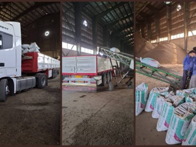 نخستین محموله خوراک دام نیشکری ایران به عراق صادر شد