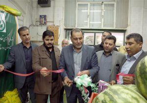 افتتاح ۷ روستا بازار با اعتباری بالغ بر ۵۵ میلیارد ریال در خوزستان