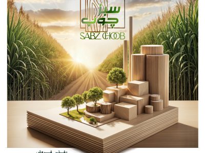 شرکت لوح سبز جنوب