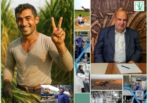 یک تیم ۲۶ هزارنفری