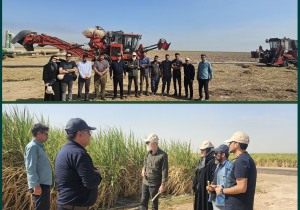 عکاسان کشوری از ظرفیت‌های صنعت نیشکر بازدید کردند