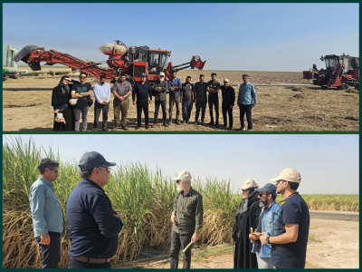 عکاسان کشوری از ظرفیت‌های صنعت نیشکر بازدید کردند