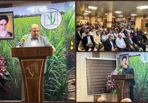 امروز «لوح سبز جنوب» افتخار صنعت کشور است