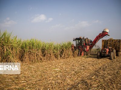 نیشکر خوزستان؛ طرح تمدنی در مسیر امنیت غذایی، توسعه پایدار و اقتصاد مقاومتی