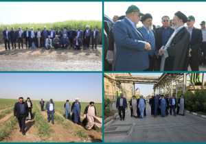 نیشکر نقش مهمی در اقتصاد و صیانت از محیط‌زیست دارد