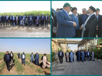 نیشکر نقش مهمی در اقتصاد و صیانت از محیط‌زیست دارد