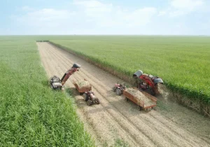 برداشت نیشکر از ابتدای فصل، ۱۰۰ درصد سبز انجام شده است/ امسال ناوگان برداشت نیشکر با ۹ هاروستر جدید تقویت شد