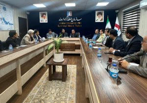 تسهیل تردد و شماره‌گذاری خودروهای منطقه آزاد اروند در مرز شلمچه بررسی شد