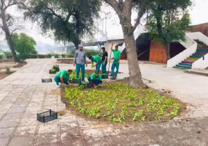 شکوفایی منظر شهری؛ آغاز عملیات کاشت گل همیشه بهار در مجاورت پل سفید توسط شهرداری منطقه دو اهواز