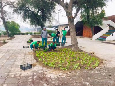 شکوفایی منظر شهری؛ آغاز عملیات کاشت گل همیشه بهار در مجاورت پل سفید توسط شهرداری منطقه دو اهواز