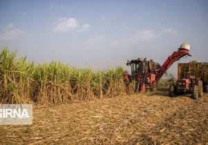 نیشکر خوزستان؛ طرح تمدنی در مسیر امنیت غذایی، توسعه پایدار و اقتصاد مقاومتی