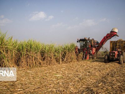 نیشکر خوزستان؛ طرح تمدنی در مسیر امنیت غذایی، توسعه پایدار و اقتصاد مقاومتی