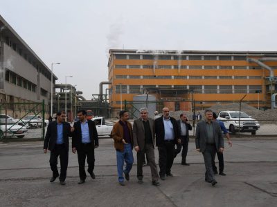 تأکید بر گسترش همکاریهای مهارتی با صنعت نیشکر