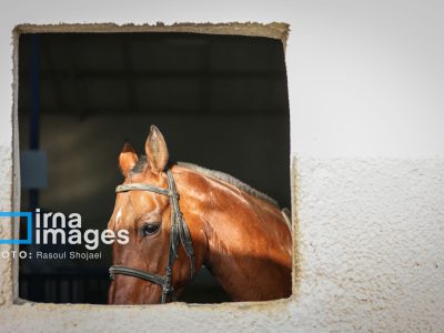 اخذ موافقت وزارت ورزش با احداث پیست سوارکاری شوش